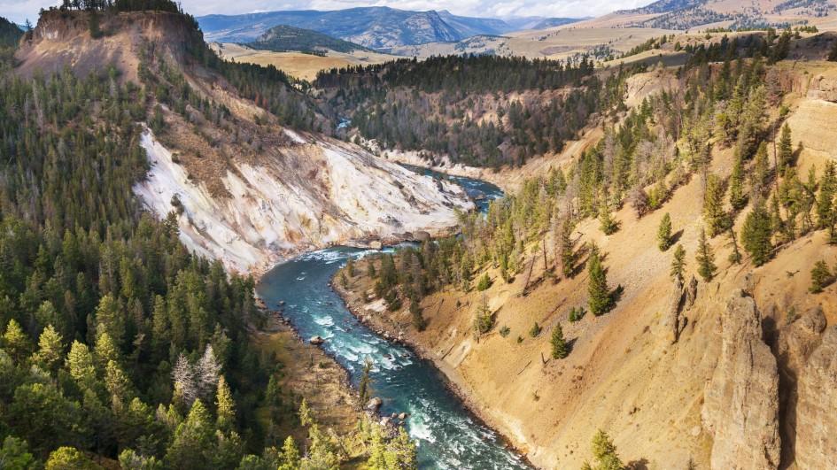 Yellowstone