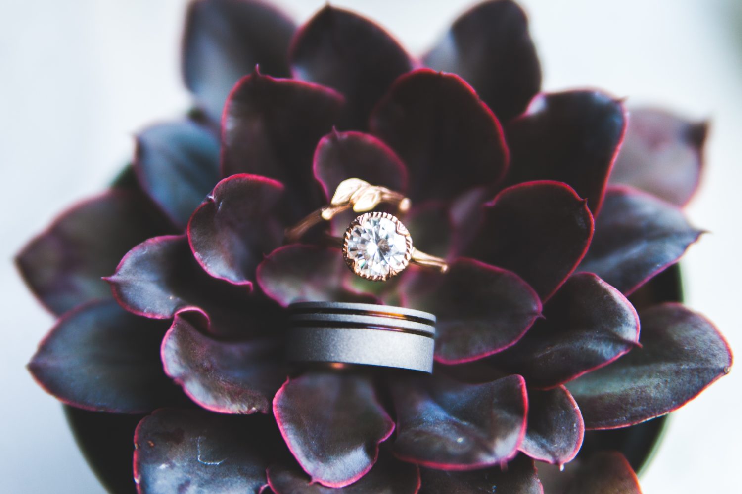 The Best Engagement Ring Insurance—Blueprint Registry Guides